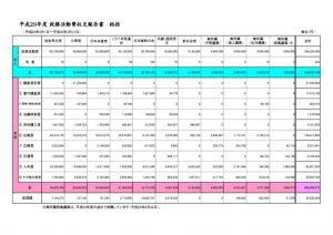 総括29政務活動費収支報告のサムネイル