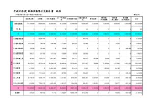 H30政務活動費決算のサムネイル